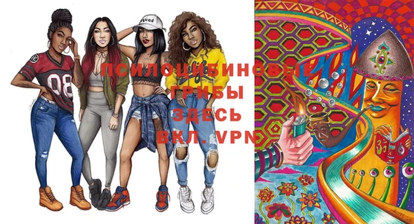 МДПВ Вязьма