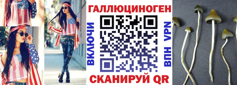 Галлюциногенные грибы Cubensis  Дубна 